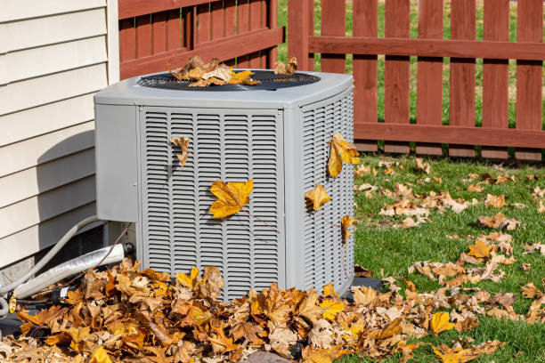 Best Best HVAC companies  in Mledgevle, IL